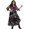 California Costumes Mystical Charmer Plus Size Costume, 1XL