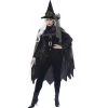 California Costumes Gothic Witch Plus Size Costume