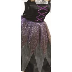 Northlight Witch Women's Adult Halloween Costume - Medium