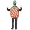 Fun World Prickly Pineapple Adult Costume