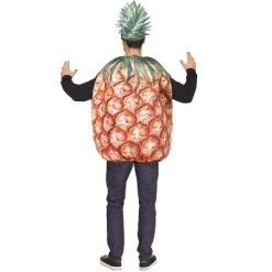 Fun World Prickly Pineapple Adult Costume