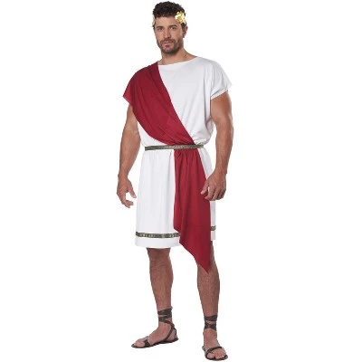 California Costumes Party Toga Adult Costume - Image 2