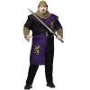 Fun World Fierce Renaissance Knight Plus Size Costume