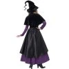 California Costumes Witch's Coven Coat Dress Adult Costume