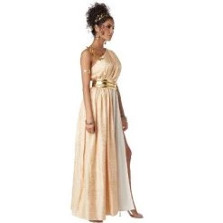 California Costumes Golden Goddess Adult Costume