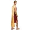 Dreamgirl Apollo Adult Costume