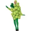 Forum Novelties Green Grapes Adult Costume