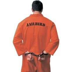 Forum Novelties Jailbird Adult Costume