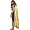 Dreamgirl Golden King Adult Costume